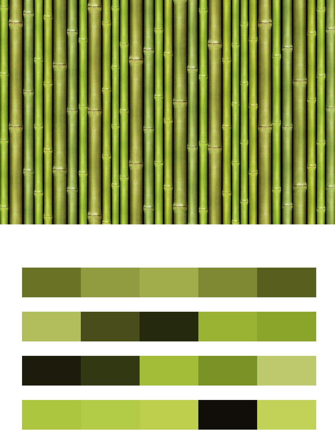 Бамбуковые стволы цвета