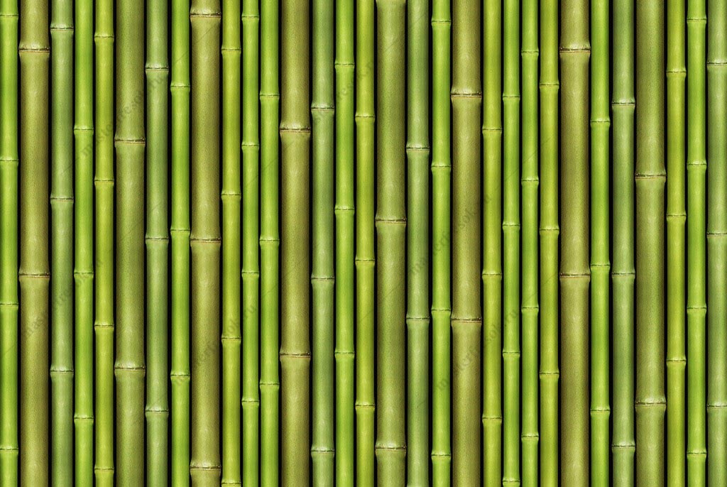 Фотообои Бамбуковые стволы